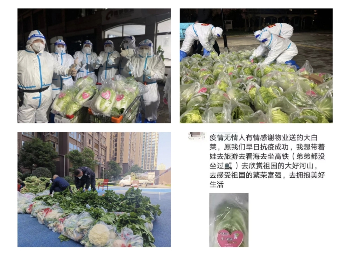 愛就一個字，我們對你說N次...(圖5)