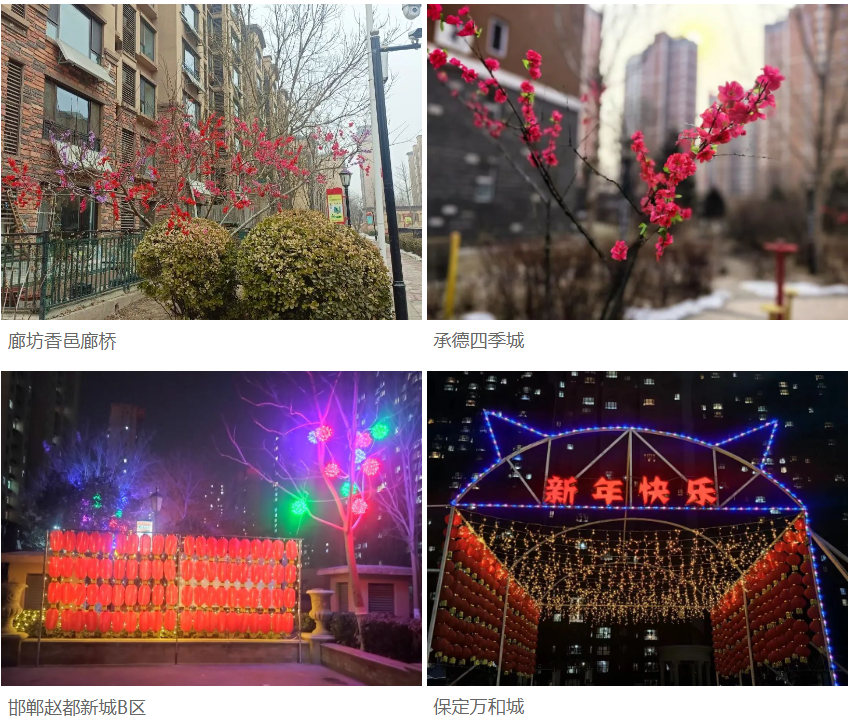 節(jié)前安全大檢查，隆泰物業(yè)為您保駕護航(圖6)