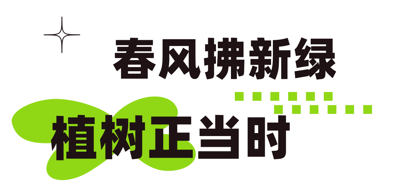 和美睦鄰+ | 隆泰物業(yè)綠色家園植樹節(jié)活動精彩有你(圖2)