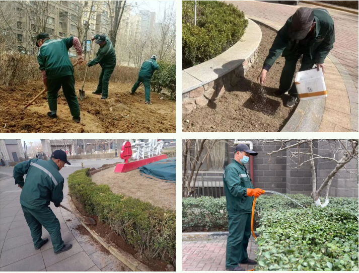 春雷行動 | 煥新春天，約你來見~(圖6)